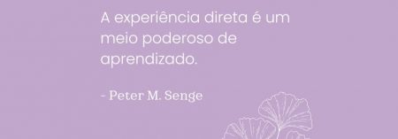 Inspiração: Peter M. Senge